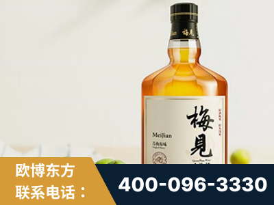 吉林-梅见青梅酒